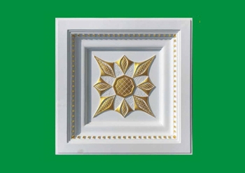 HN-B029