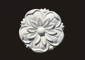 HN-H005