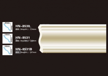 HN-8530∕HN-8531∕HN-8531B