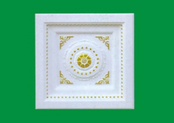 HN-B021