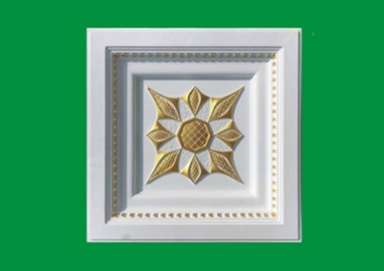 HN-B029