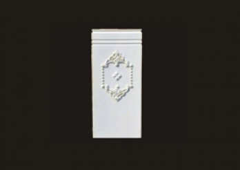 HN-P238C